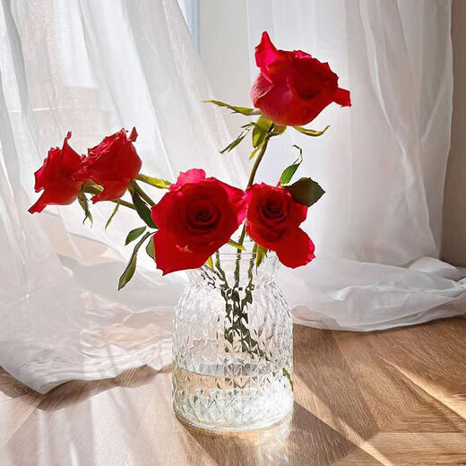 Chuzhuo glass vase Nordic vase simple tabletop restaurant embossed closing style embossed transparent vase 16cm