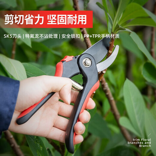 得力（deli）省力果树剪刀修枝剪枝剪园艺剪刀粗枝花卉园林工具修剪树枝剪刀 8英寸修枝剪 DL580221