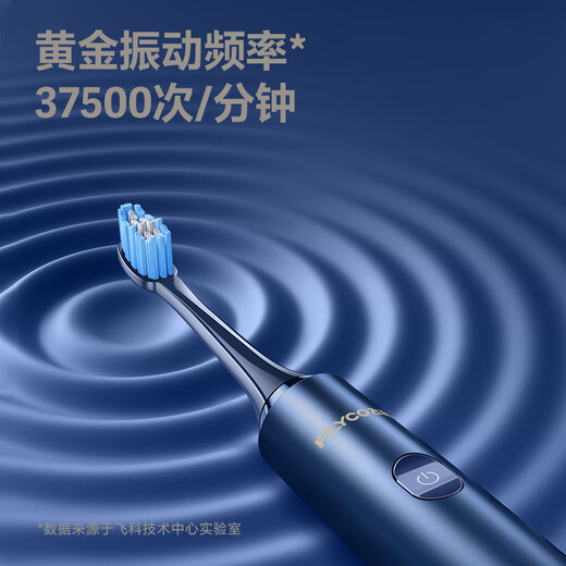 FLYCO Electric Toothbrush Smart Home Men and Women Sonic Vibration Wireless Rechargeable DuPont Soft Bristle Couple Toothbrush Adult Holiday Gift FT7205 Valentine's Day Gift Sapphire Blue 2 brush heads in total