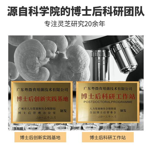 Yueweiquan Ganoderma spore powder, immune-modulating enzymatic broken polysaccharide triterpene, health care product for middle-aged and elderly adults, gift gift, 30 bags*12 boxes, half-year supply