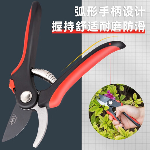 得力（deli）省力果树剪刀修枝剪枝剪园艺剪刀粗枝花卉园林工具修剪树枝剪刀 8英寸修枝剪 DL580221