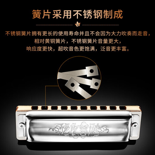 SEYDEL德国进口SEYDEL赛德 十孔10蓝调成人口琴 1847 CLASSIC 10孔E调