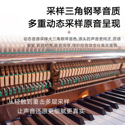 Ryefield (Ryefield) Electric Piano 88 Key Heavy Hammer Beginner Professional Rading Piano Home Home Digital Electronic Piano Grade Grade High Box RY688 Heavy Hammer-Balm Balm White Paint