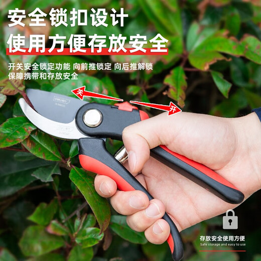 得力（deli）省力果树剪刀修枝剪枝剪园艺剪刀粗枝花卉园林工具修剪树枝剪刀 8英寸修枝剪 DL580221