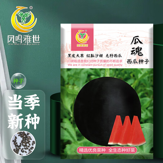 Fengming Yashi black seedless watermelon seeds thin skin large super sweet southern seedless black watermelon seeds 100 capsules