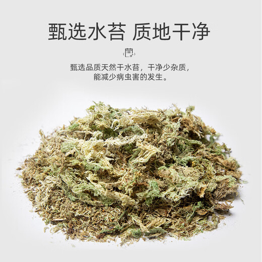 Stanley (STANLEY) sphagnum moss Phalaenopsis special soil dry moss nutritious soil for growing orchids high quality aragonite dendrobium orchid turtle