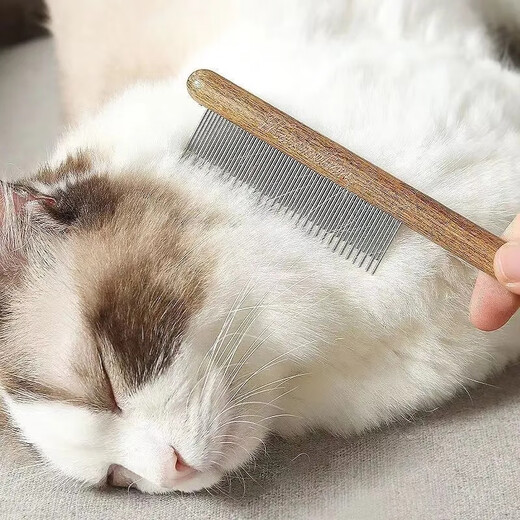 Lanswood cat comb, Ragdoll cat hair comb, dog comb to remove floating hair, long hair cat flea comb, special combing tool for detangling, hair removal log comb - long and short teeth