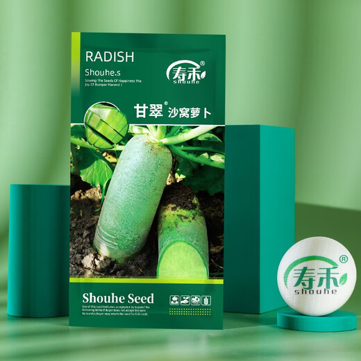 Shouhe radish seeds autumn sowing radish northern winter and spring fruit sowing vegetable seeds field planting seeds rapeseed Gancui Shawo radish seeds 10gx3 pack