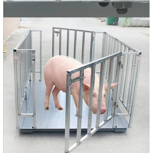 Floor scale 1-3 tons for weighing pigs and cattle, small floor scale 1-2 tons, industrial small floor scale electronic scale, size 0.75m*1.5m0~3 tons with fence, customized