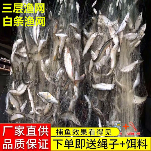 Guangtai small fishing net encrypted outer net three-layer dipped white meal bar net horse mouth floating net sinking net sticky fish net hanging fishing wire net three-layer floating net 1.5 meters high 1.5 fingers 50 meters long