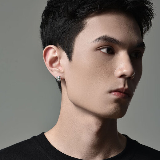 Mingyang Decorative Sea 925 Silver Full Diamond Tiger Earrings Men's Single Earrings Trendy Original Personality Light Luxury Fashion Versatile Earrings Pair