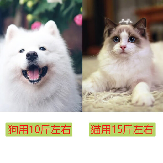 Moorpet Haustier-Trolley-Tasche, Outdoor-Tragetasche für Katzen und Hunde, Katzenkoffer für Reisen, porös und atmungsaktiv, Winter, große Größe, Silber (15 Jin Jin für Katzen entspricht 0,5 kg, 10 Jin Jin entspricht 0,5 kg für Hunde)