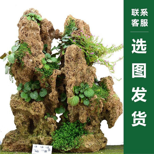 Shiguang Station absorbent stone natural stone bonsai fish tank courtyard large fish pond landscaping absorbent stone original stone water stone bonsai 20-24cm absorbent stone containing 27cm blue flower pot