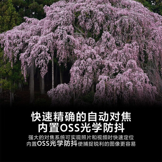 Sony (SONY) G Master full-frame mirrorless lens FE70-200 F2.8 GM OSS II second generation official standard 24-issue interest-free