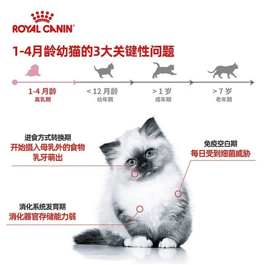 ROYAL CANIN Royal ROYALCANIN Weaning period infant period pregnancy canned milk cake wet food staple food can 195g/can canned mousse milk cake*24 cans ROYAL CANIN Royal ROYALCANIN Weaning period infant period pregnancy canned milk cake wet food staple food can 195g/can canned mousse milk cake*24 cans