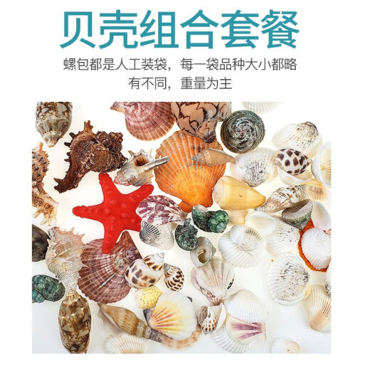 Hanhan Paradise Fish Tank Decoration Landscaping Package Ornaments Small Aquarium Office Desktop Mini Tank Simulation Landscaping Set Aquatic Grass Frosted Stone Conch Shell Set