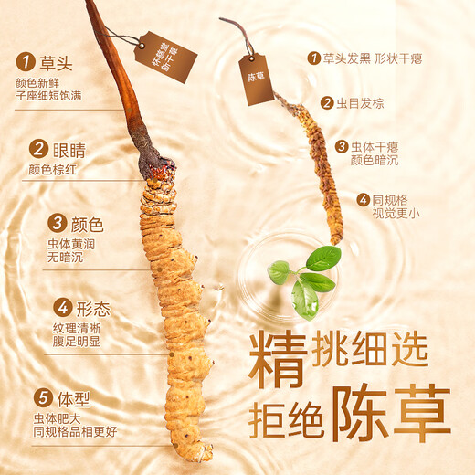 Huaici Tang Cordyceps Cordyceps 4 корни/G 20G подарочная коробка Cordyceps рентабельные подарки