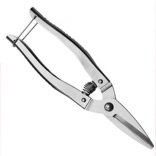 Mo Shenggu stainless steel garden pruning shears, fruit picking shears, grape and orange picking tools, garden fruit tree scissors, spring shears, large fruit shears