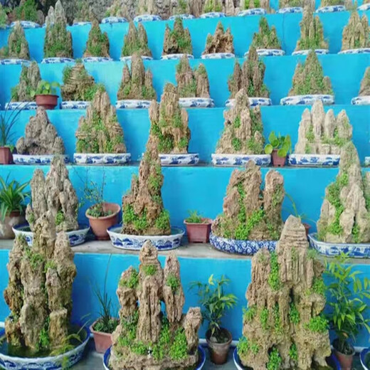 OEMG medium and large water-absorbing stones, water stones, strange stones, natural rockery, landscape, stone appreciation, micro-landscape, fish tank landscaping