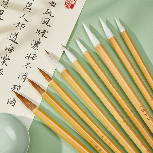 Liupintang brush calligraphy beginner's calligraphy set for beginners, special wolf hair and hair for primary school students, water writing cloth, pen, ink, paper and inkstone for calligraphy practice, a complete set of professional four treasure storage tools for the study, 15-piece set for beginners (including storage box + 200 pieces of rough paper)