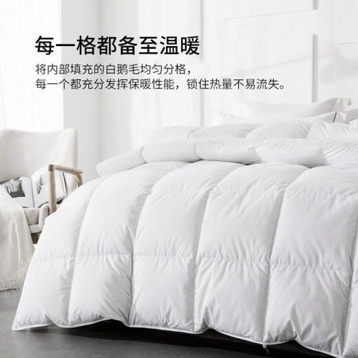 Jiabai down white goose down feather quilt silent anti-drilling velvet autumn and winter quilt core thickened and warm star hotel single and double winter quilt white 200*230cm