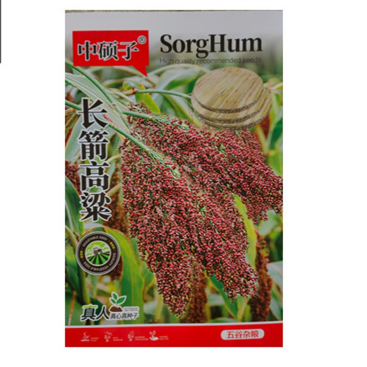 Asarum old-fashioned long-pole sorghum seeds can be used to make brush dumplings, covered brooms, farm handmade cooking broom sorghum seeds, long arrow sorghum seeds original 40g 1 bag