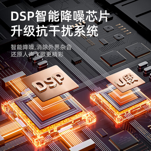 SANSUI wireless microphone, universal, professional-grade U-segment karaoke, dedicated conference host, live broadcast karaoke, outdoor square dance, handheld portable performance home ktv singing rechargeable microphone, professional version dual microphone, performance-grade microphone, one to two, true U-segment wireless charging