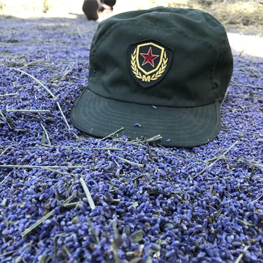 Xinjiang Lavender Dried Flower Granules Bulk Natural Sachet Pillow Soothing Filling Wardrobe Car Sachet Aromatherapy Special Selected French Blue 500g Free Sandbag 6