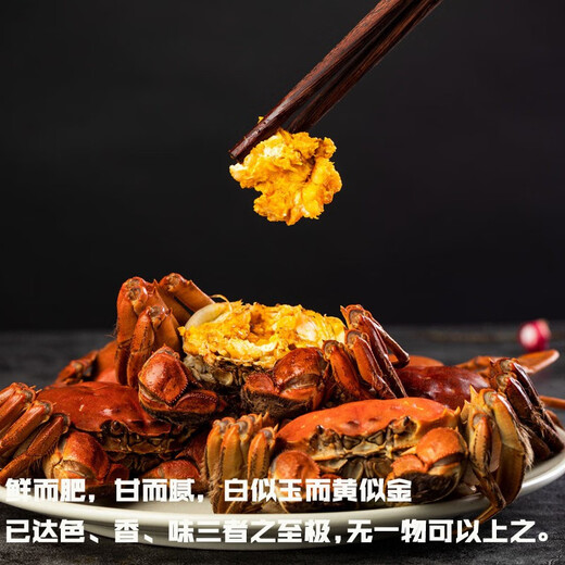 Live crab Yangcheng Emperor hairy crab fresh spot extra large male crab female crab exquisite gift box spot male 5.0 two female 4.0 two 5 pairs 10 pieces