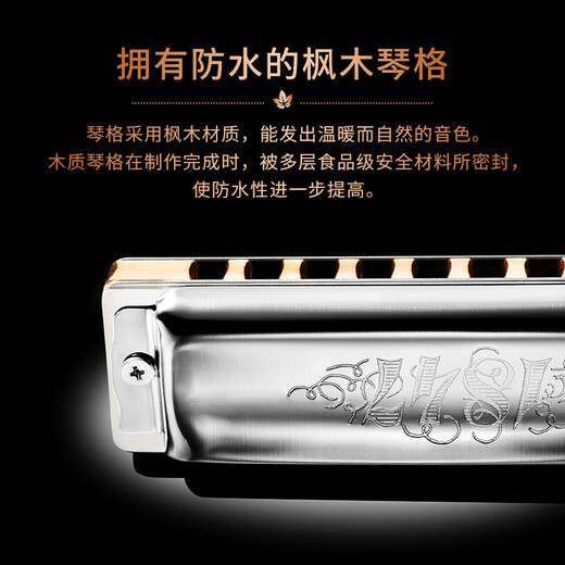 SEYDEL德国进口SEYDEL赛德 十孔10蓝调成人口琴 1847 CLASSIC 10孔E调