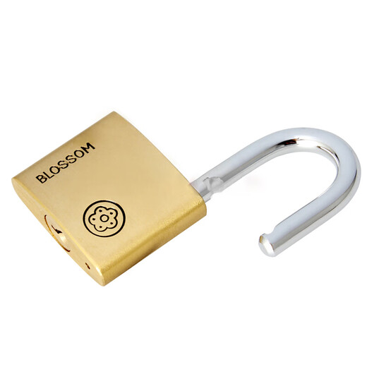 Plum blossom (BLOSSOM) copper padlock, waterproof and rust-proof office dormitory copper lock, outdoor warehouse door and carriage door lock BC9050