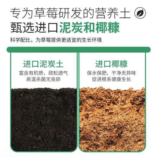 Manlife strawberry soil 15L special nutritional soil flower soil vegetable soil green plant fruit and vegetable organic planting soil balcony potting soil
