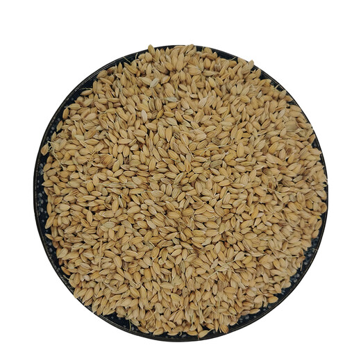 Tea bran, glutinous rice, glutinous rice with shell, glutinous rice with shell, glutinous rice with shell, 500g non-standard customization Jin Jin is equal to 0.5 kg non-standard customization
