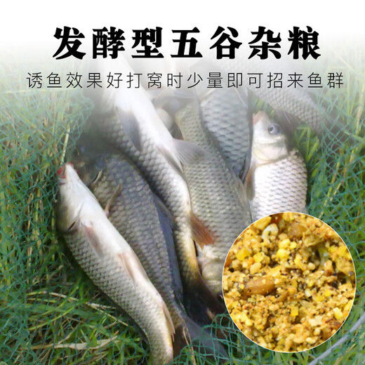 Baiyu fermented nest material, wild fishing crucian carp and carp bait, wine, rice and miscellaneous grains, fishing nest material, bottom nest corn, fish food, cereal, crucian carp fermented bottom nest (5Jin Jin equals 0.5kg) barreled