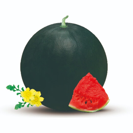 Zhongke Maohua melon and fruit seeds 16 degrees rock sugar unicorn watermelon seeds 8424 Hainan unicorn melon melts in the mouth thin skin Jingxin rock sugar black unicorn seeds 5g