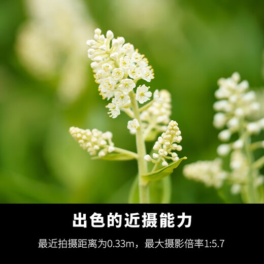 Tamron flagship store A058 35-150mmF2-2.8 full-frame FE mount/Z-mount large aperture Tamron 35-150 lens zoom micro-single lens Tamron 35150 portrait mirror king Sony E-mount official standard package free Blue Ship UV + Tamron 128G card + tripod ring gift pack