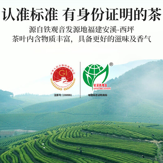 传奇会乌龙茶 安溪铁观音 浓香型一级250g中火盒装PVC口粮茶叶自己喝