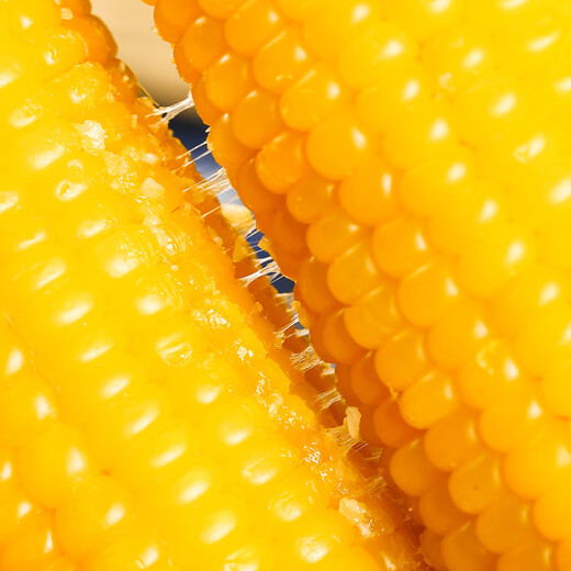 Jingxiansheng Northeast yellow corn on the cob 200g 8 cobs of 25-year-old new corn Vacuum sticky corn Multiple packaging Straight from the source