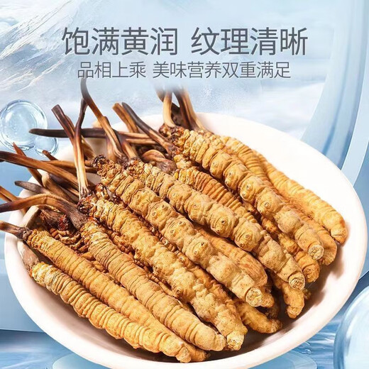 正宗雪山藏区野那l曲高海拔雪山冬虫夏草整草虫草断虫草按克按条 西藏那曲雪山虫草整肉1克