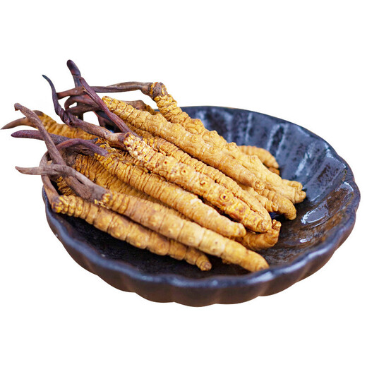 雄风道藏区雪域冬虫夏草 （规格2-3根/克）正宗虫草无断草礼盒装十根起