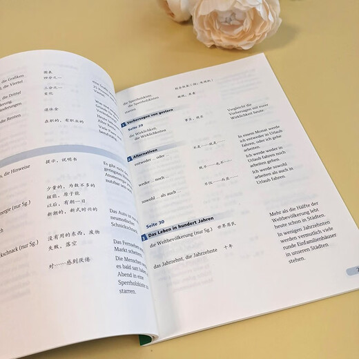 Happy German (2nd Edition) B1 Vocabulary Manual