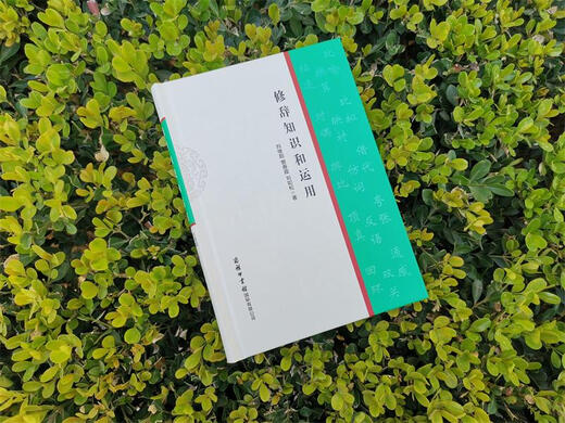 Rhetoric Knowledge and Application 2021 Latest Edition Writing Learning Knowledge Application Chinese Learning Grammar Learning