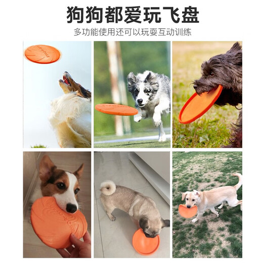 Hanhan Paradise Dog Frisbee S size 15cm diameter pet toy dog training toy Labrador dog training dog training supplies CS