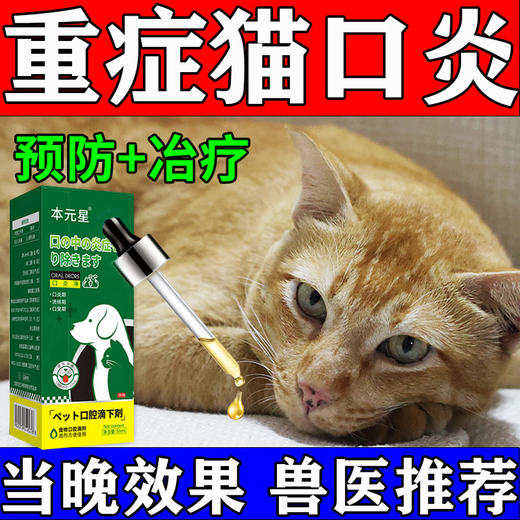 Cat stomatitis special medicine i medicine cat stomatitis spray 2801 A cat's rotten mouth, drooling, red, swollen and inflamed gums, oral ulcers, special anti-inflammatory and analgesic spray for removing bad breath, buy 3 and get 2 free, for ulcers, drooling and bleeding, five boxes + antibiotics