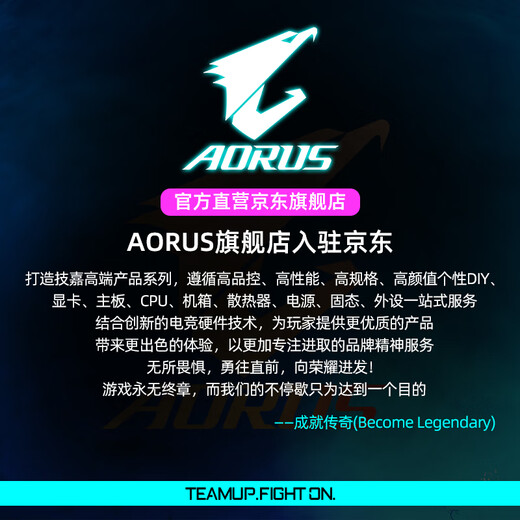 AORUSAORUS host/accessories memory graphics card solid state display additional upgrade package (single shot is invalid, please contact customer service before shooting) 500