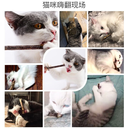 Hanhan Paradise Cat Snacks Mutian Polygonum Cat Molar Stick Teeth Cleaning Stick Cat Bite Stick Funny Cat Kitten Toy Kitten Self-Happiness Stick 5 pcs