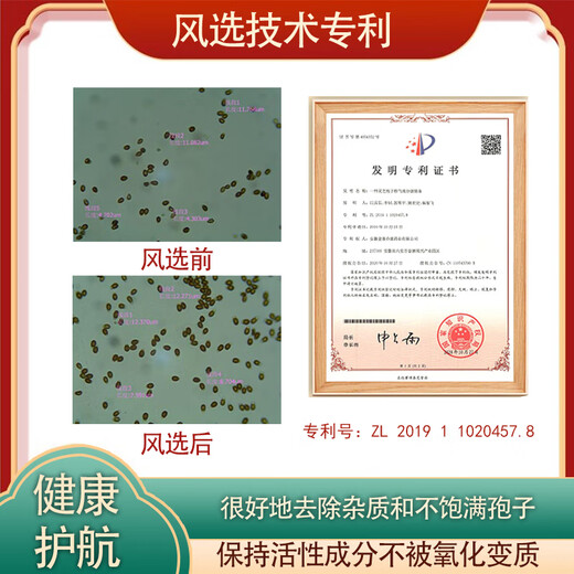 Qiaokang Breaking Wall Ganoderma Lucidum Spore Powder 50G Triterpene 10.5% Física de debilidad y mejora de la inmunidad Patente orgánica Breaking Wall 4 Cajas Precio (6 cajas de envío real Total 300G)