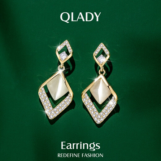 Qlady autumn and winter geometric earrings for women, fashionable temperament, light luxury decoration, cat's eye earrings, niche design, 925 silver needle earrings, female birthday gifts for girlfriends and wives