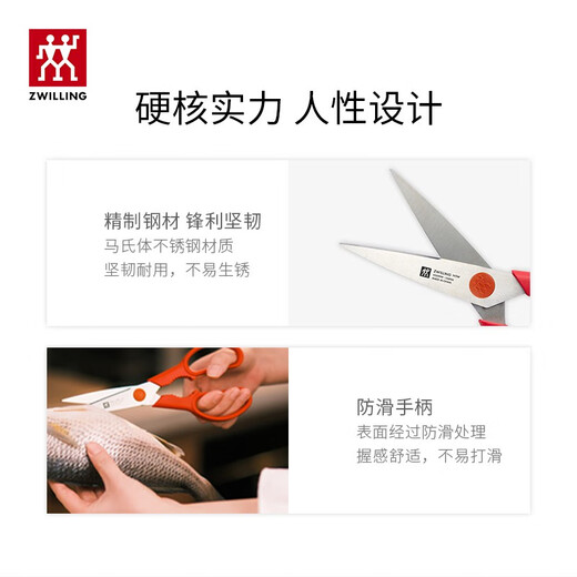 ZWILLING Tijeras de Cocina Hogar Tijeras Multifuncionales Alimentos Acero Inoxidable Tijeras de Cocina portátiles Desmontables Tijeras de Alimentos Verde Menta (con Funda de Tijera)