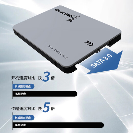 长城（Great Wall) 256GB SSD固态硬盘 SATA3.0接口 读速540MB/S台式机/笔记本通用 GW560系列 